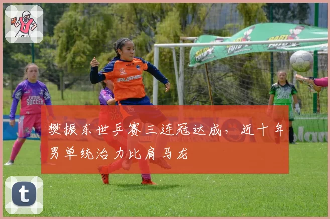 樊振东世乒赛三连冠达成,近十年男单统治力比肩马龙