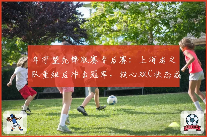 年守望先锋联赛季后赛：上海龙之队重组后冲击冠军，核心双C状态成关键