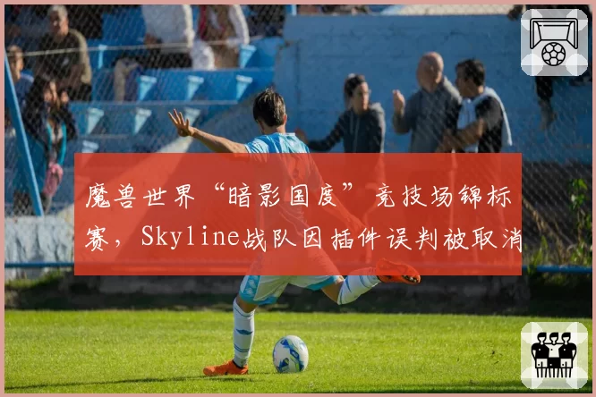 魔兽世界“暗影国度”竞技场锦标赛,Skyline战队因插件误判被取消成绩